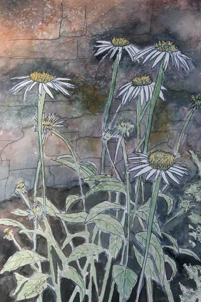 Daisy Flowers by Derek McCrea framed wall art