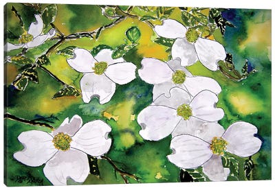 Dogwood Tree Flowers Canvas Art Print - Dogwood