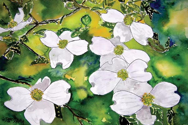 Derek McCrea: Dogwood Tree Flowers by Derek McCrea