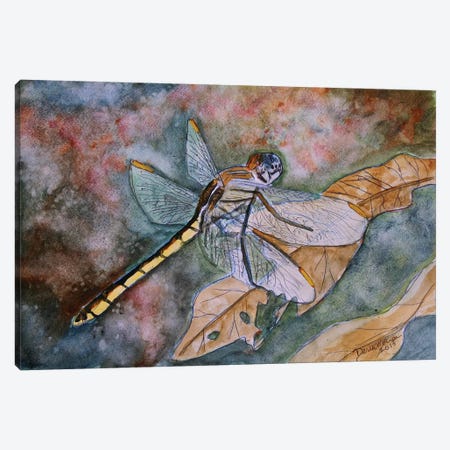 Dragonfly I Canvas Print #DMC31} by Derek McCrea Canvas Art