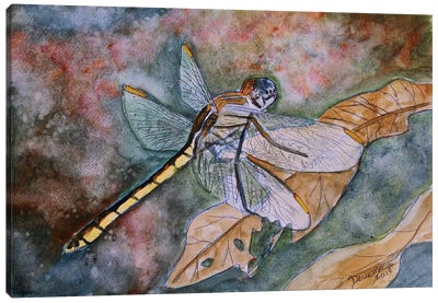 Dragonfly I Canvas Art Print - Dragonfly Art