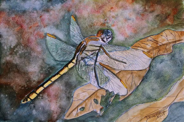 Derek McCrea: Dragonfly I by Derek McCrea