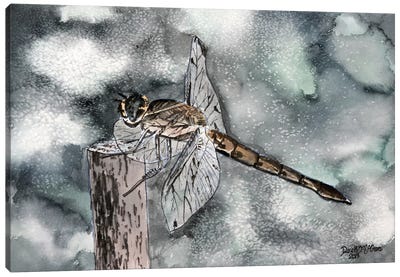 Dragonfly II Canvas Art Print - Derek McCrea