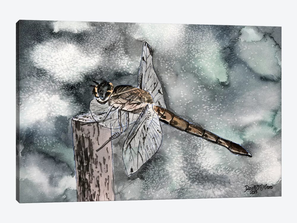Dragonfly II by Derek McCrea 1-piece Canvas Print