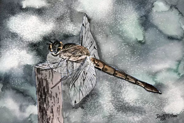 Derek McCrea: Dragonfly II by Derek McCrea