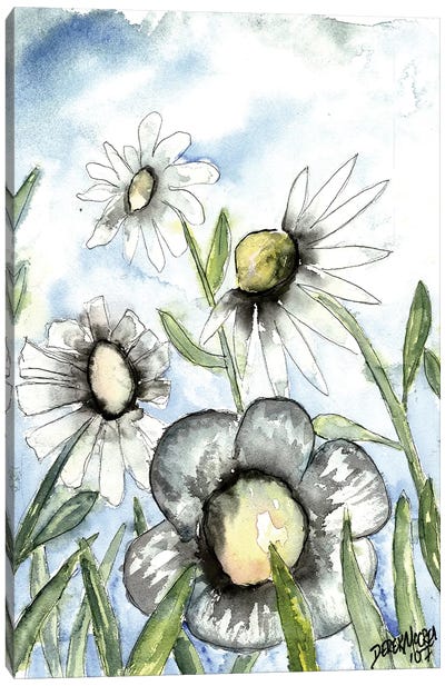 Field Of White Daisies Canvas Art Print - Daisy Art