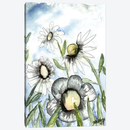 Field Of White Daisies Canvas Print #DMC35} by Derek McCrea Canvas Print