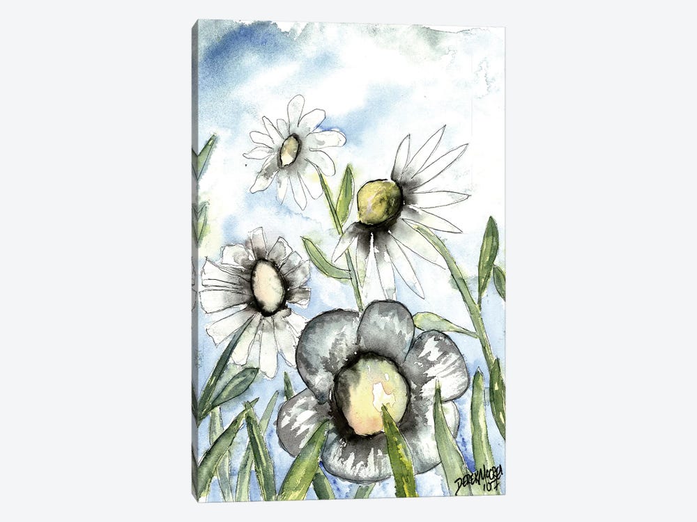 Field Of White Daisies 1-piece Canvas Wall Art