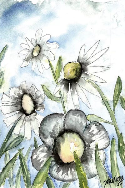 Derek McCrea: Field Of White Daisies by Derek McCrea
