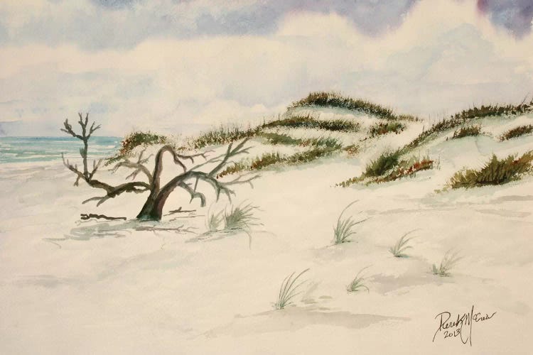 Fort Walton Beach by Derek McCrea wall art