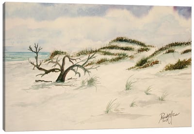 Fort Walton Beach Canvas Art Print - Coastal Sand Dune Art