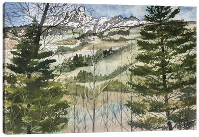 Grand Teton National Park Canvas Art Print - Derek McCrea