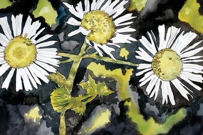 Heath Aster Flowers by Derek McCrea art print