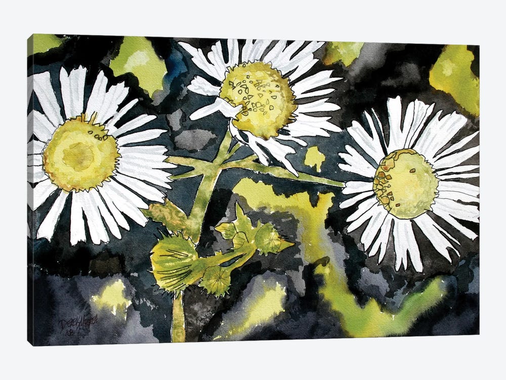 Heath Aster Flowers by Derek McCrea 1-piece Canvas Art