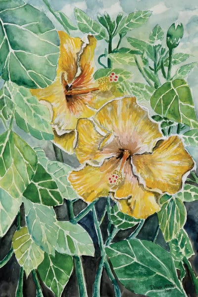 Hibiscus Flowers Tropical by Derek McCrea art print