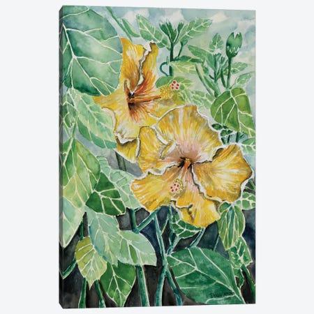 Hibiscus Flowers Tropical Canvas Print #DMC41} by Derek McCrea Canvas Art Print