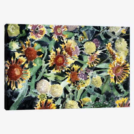 Indian Blanket Flowers Canvas Print #DMC42} by Derek McCrea Canvas Print