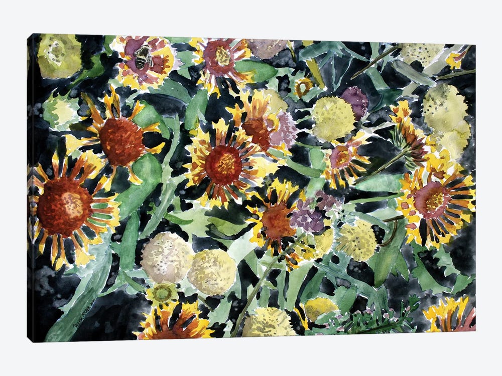 Indian Blanket Flowers by Derek McCrea 1-piece Canvas Wall Art