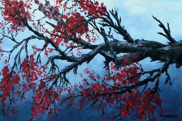 Derek McCrea: Japanese Cherry Blossom Flowers by Derek McCrea