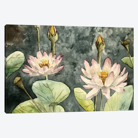 Lotus Flowers Canvas Print #DMC49} by Derek McCrea Canvas Print
