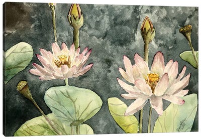 Lotus Flowers Canvas Art Print - Indian Décor