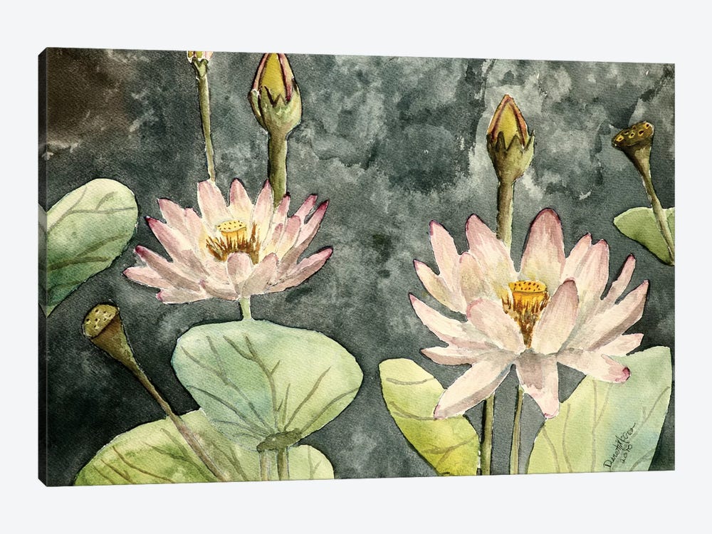 Lotus Flowers by Derek McCrea 1-piece Art Print