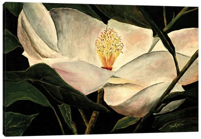 Magnolia Flower Canvas Art Print - Derek McCrea