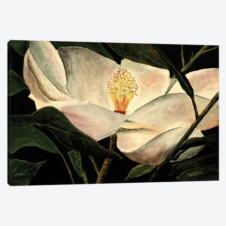 Magnolia Flower Canvas Print #DMC50} by Derek McCrea Canvas Art