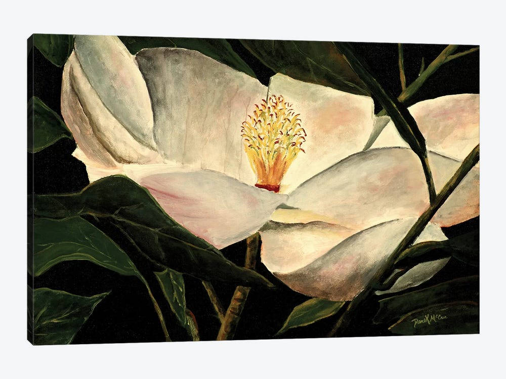 Magnolia Flower by Derek McCrea 1-piece Canvas Print