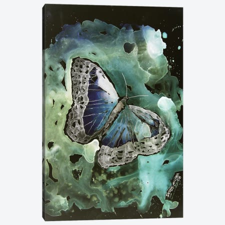 Monarch Butterfly I Canvas Print #DMC51} by Derek McCrea Canvas Artwork