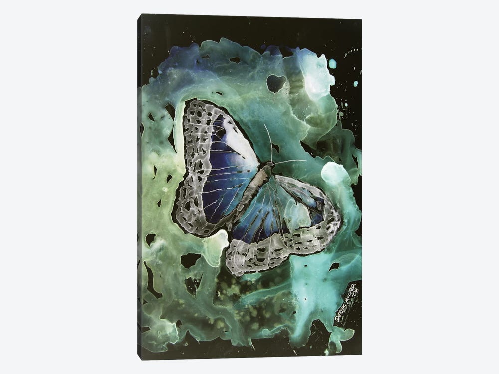 Monarch Butterfly I by Derek McCrea 1-piece Canvas Wall Art