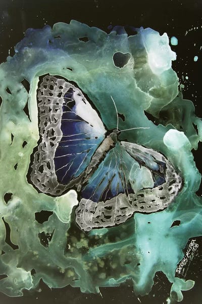 Derek McCrea: Monarch Butterfly I by Derek McCrea