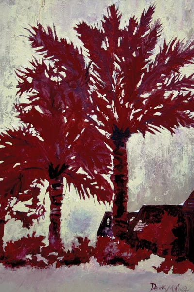 Palm Trees by Derek McCrea canvas print