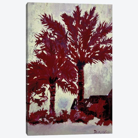 Palm Trees Canvas Print #DMC58} by Derek McCrea Canvas Wall Art