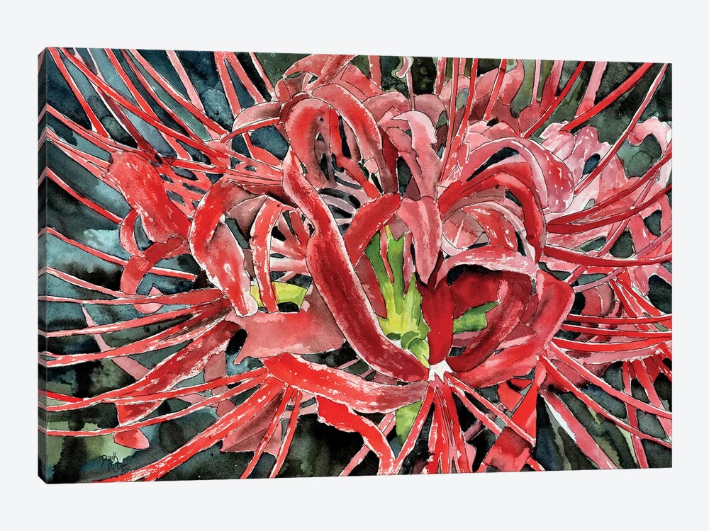 Red Spider Lily Flower by Derek McCrea 1-piece Canvas Wall Art