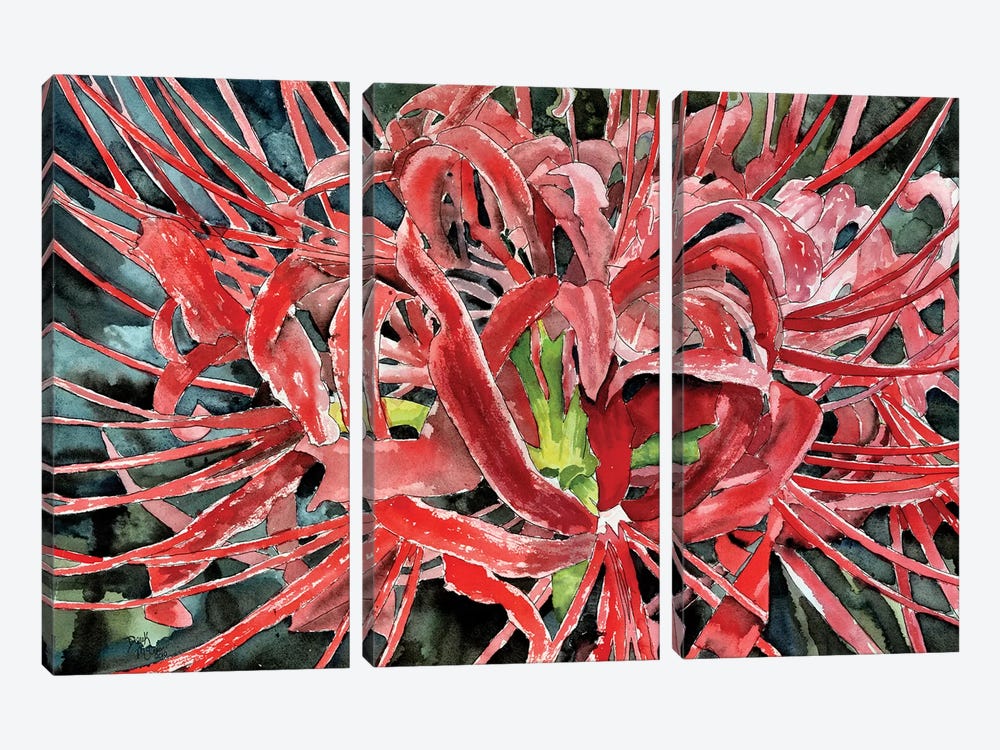 Red Spider Lily Flower by Derek McCrea 3-piece Canvas Artwork