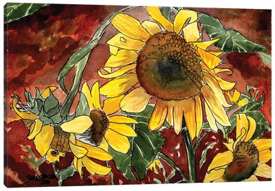 Sunflowers Canvas Art Print - Derek McCrea