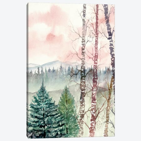 Birch Trees, Winter Landscape Canvas Print #DMC7} by Derek McCrea Canvas Print