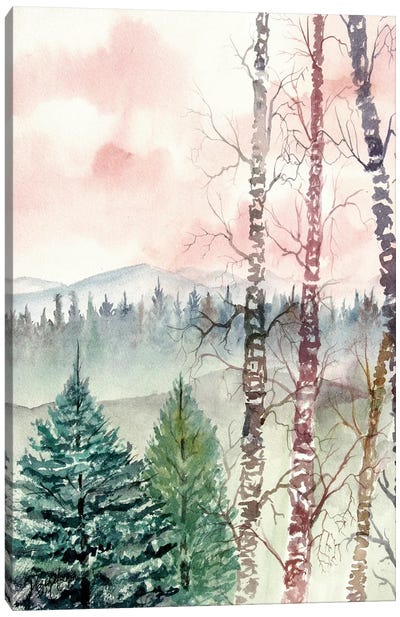Birch Trees, Winter Landscape Canvas Art Print - Derek McCrea