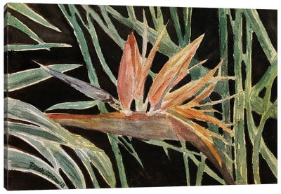 Bird Of Paradise Flower Canvas Art Print - Derek McCrea