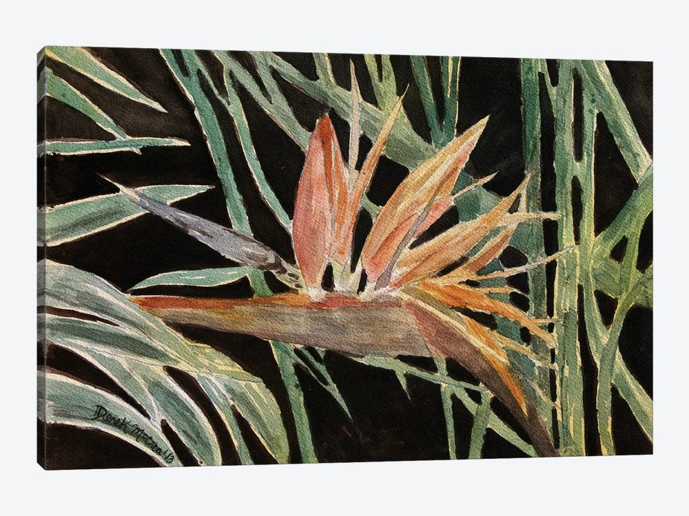 Bird Of Paradise Flower by Derek McCrea 1-piece Canvas Print