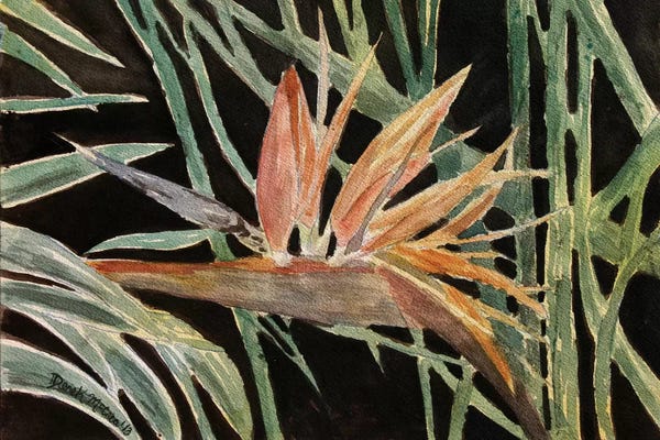 Derek McCrea: Bird Of Paradise Flower by Derek McCrea