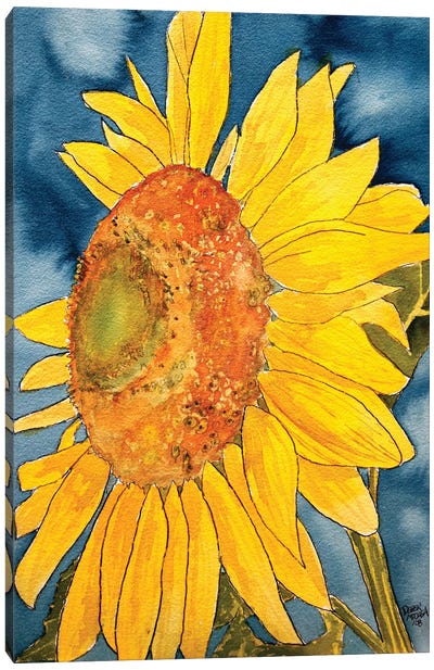 Sunflower Watercolor Painting Canvas Art Print - Derek McCrea