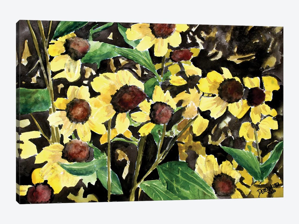 Black-Eyed Susan Flowers by Derek McCrea 1-piece Canvas Art