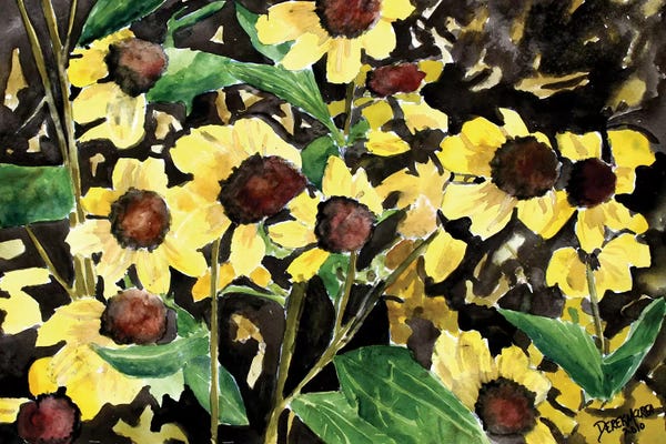 Derek McCrea: Black-Eyed Susan Flowers by Derek McCrea