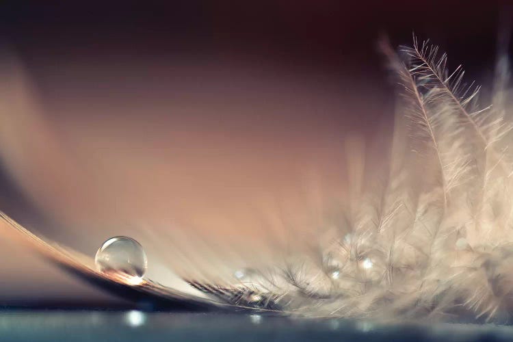 Stories Of Drops by Dmitry Doronin wall art