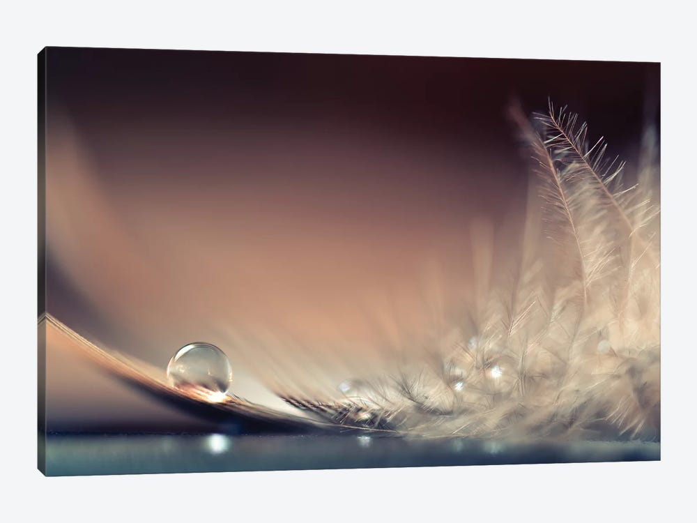 Stories Of Drops by Dmitry Doronin 1-piece Canvas Print