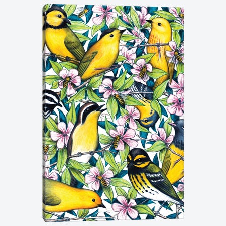 Birds And The Bees Canvas Print #DMH10} by Don McMahon Canvas Print