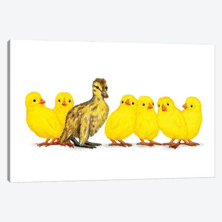 Chicks Dig Me Canvas Print #DMH23} by Don McMahon Canvas Wall Art