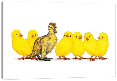 Chicks Dig Me Canvas Art Print - Duck Art